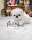 Casper