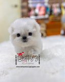 Casper