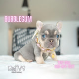Bubblegum
