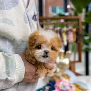 Taffy