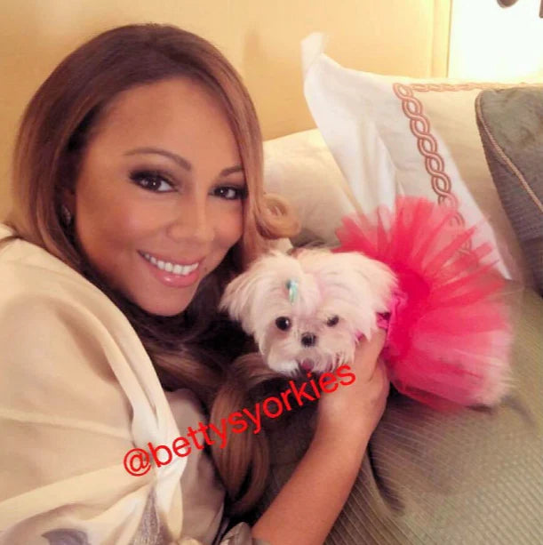 CELEBRITY MARIAH CAREY