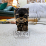 Finn
