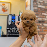 Peanut