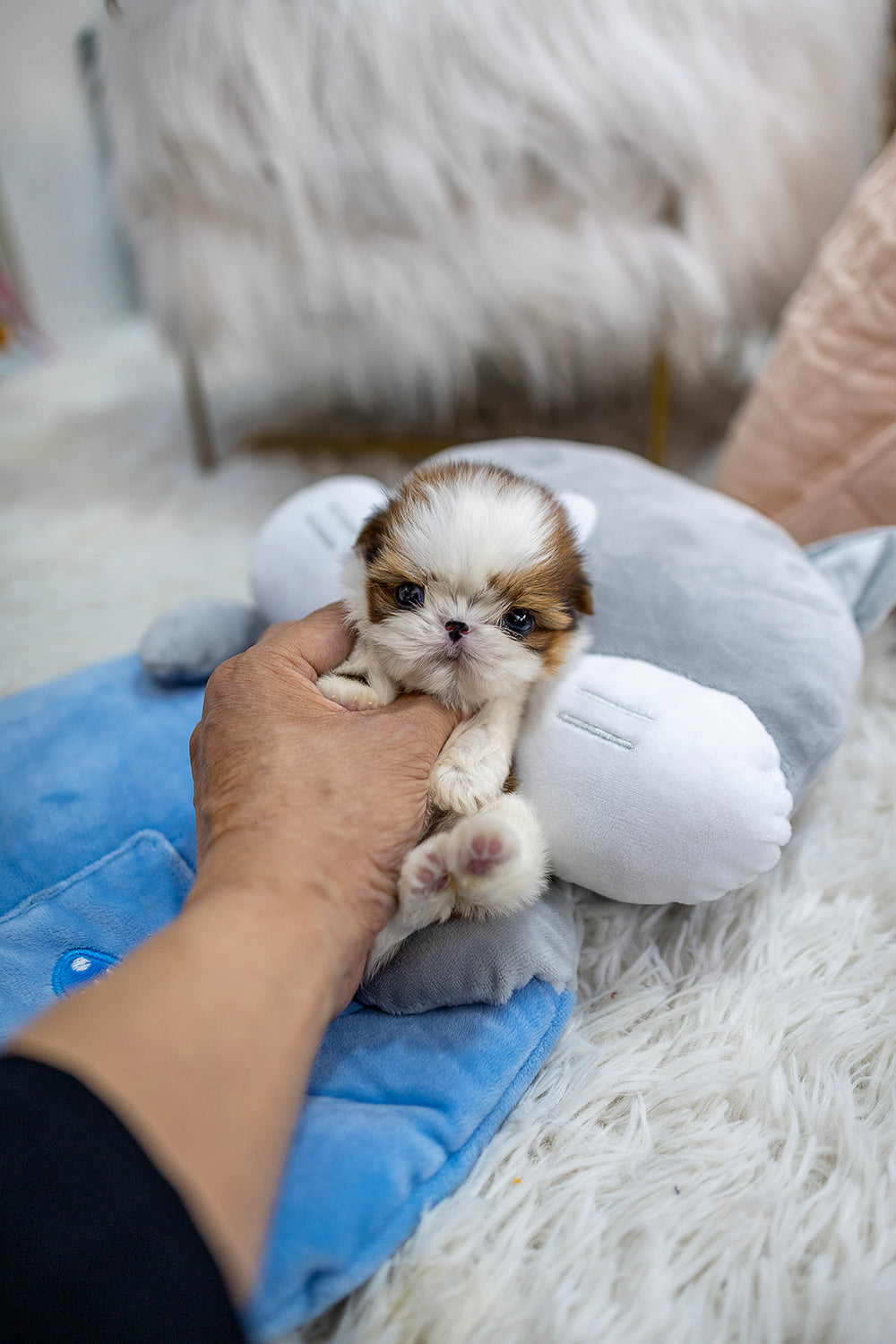 Mili