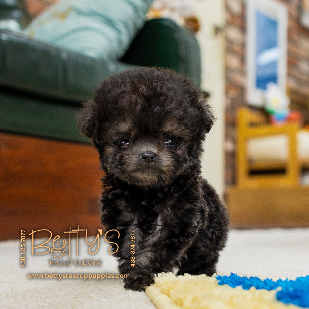 Pepper