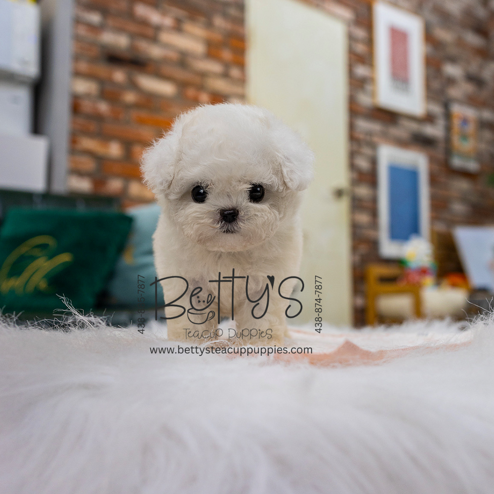 Benny