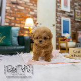Peanut