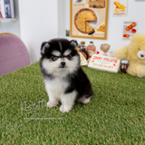 Monty