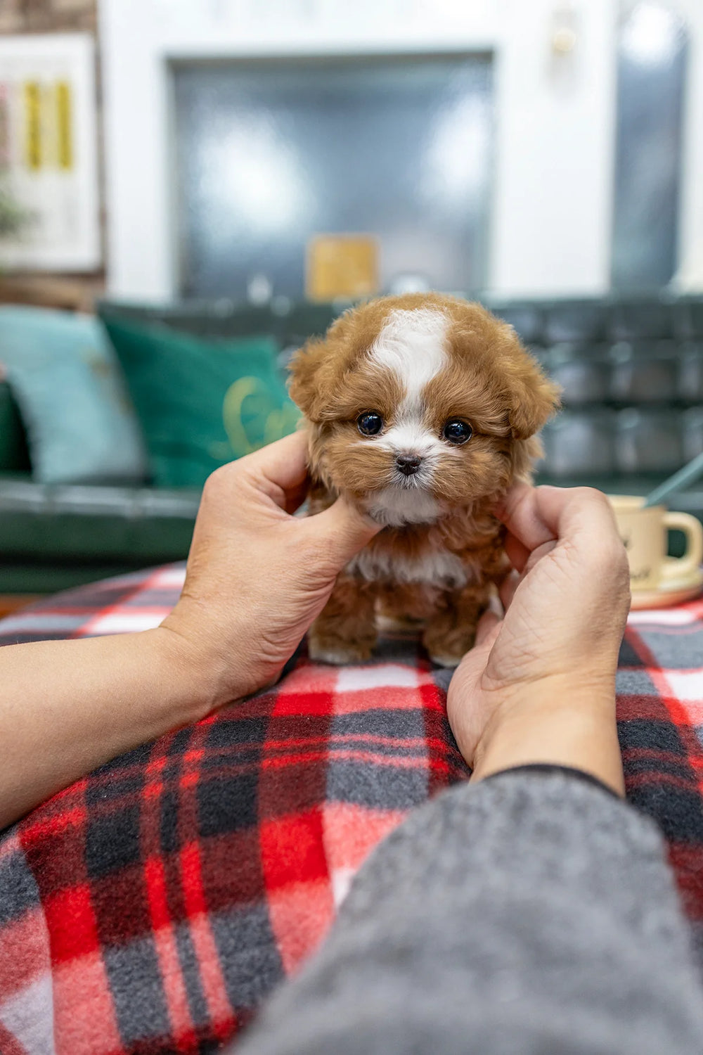 snuggle