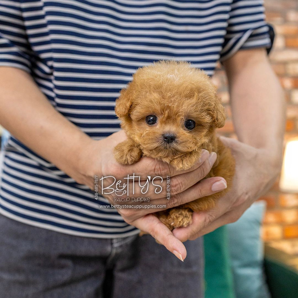 Peanut