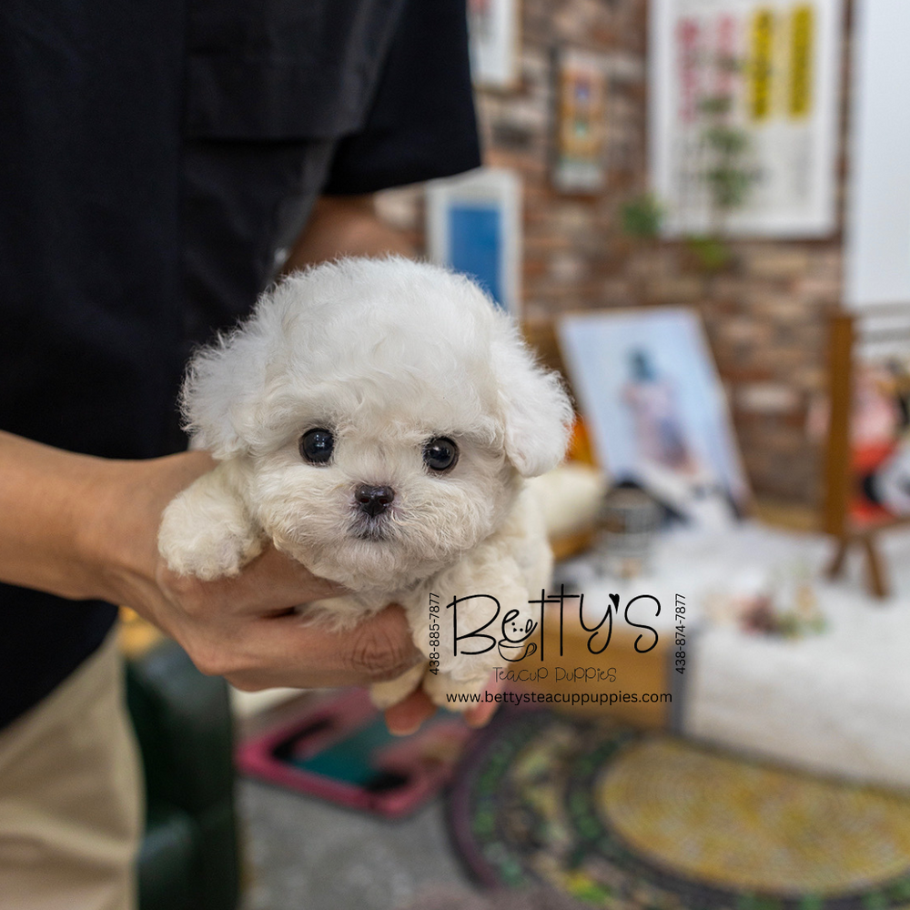 Benny