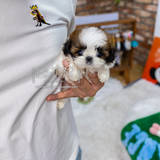 Max