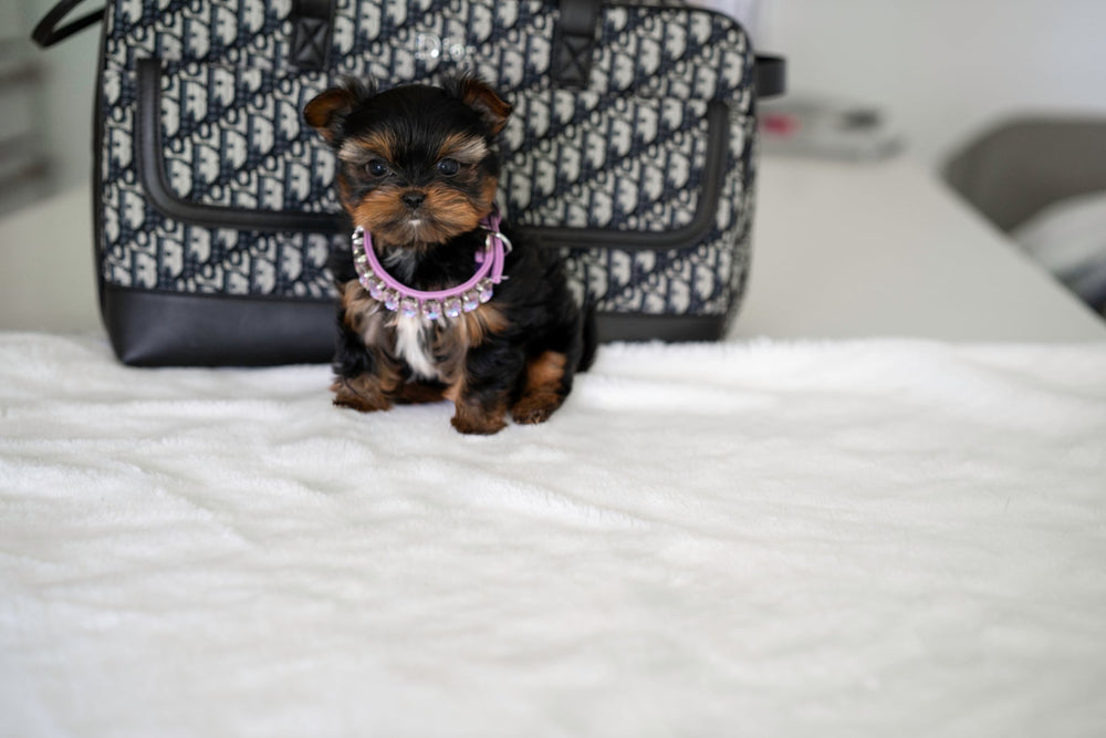 Pebbles