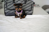 Pebbles