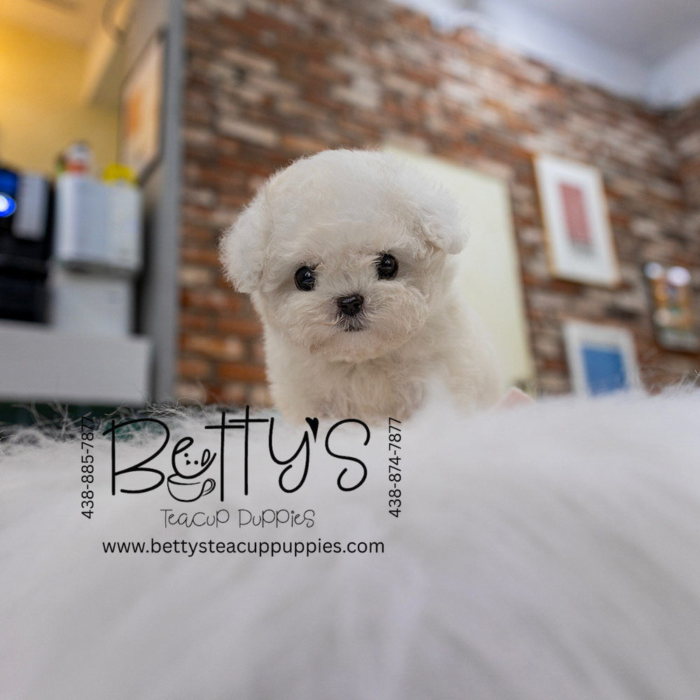 Benny