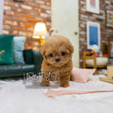 Peanut