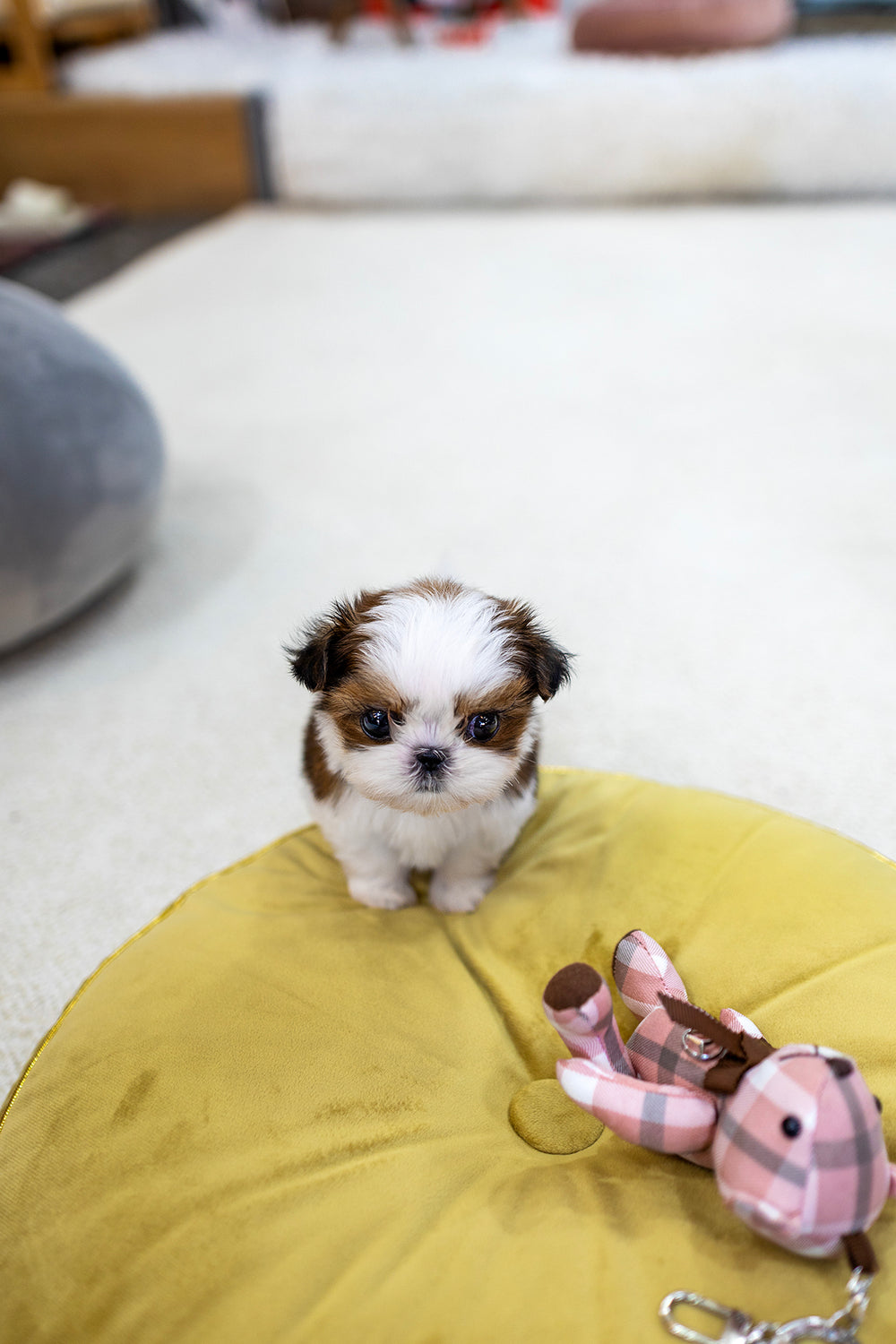 Muffin