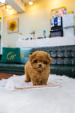 Milo