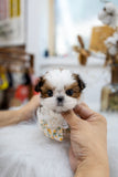 Muffin