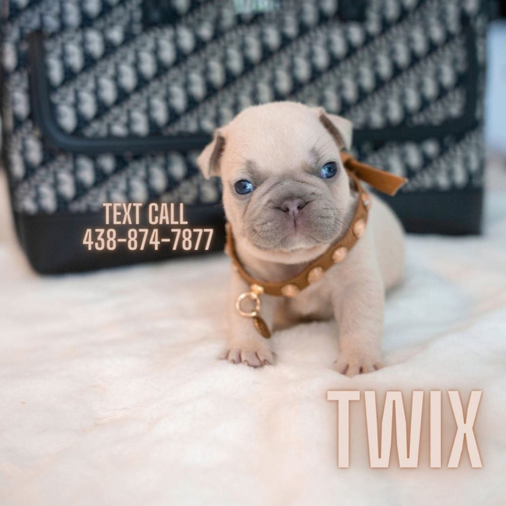 Twix