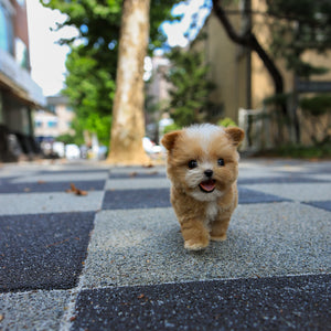Taffy