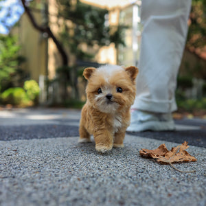 Taffy