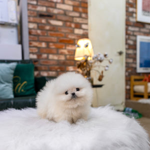 Nilla