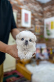 Benji