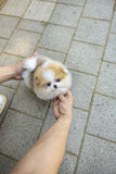 (Reserved)Mochi
